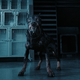 Image for article titled Updates From Netflix's Resident Evil, Black Adam, and More
